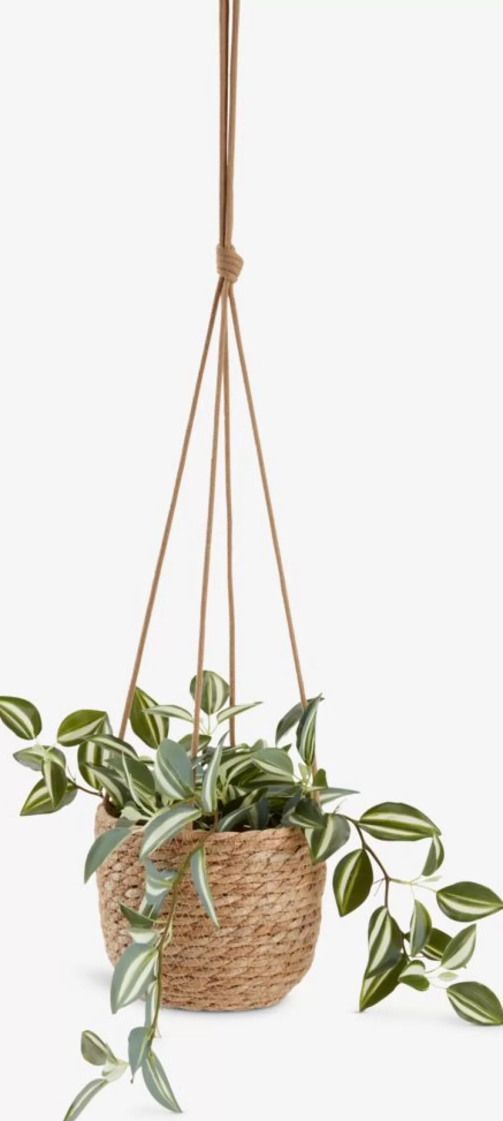Cheap STEFAN Doniczka Ś18xW15cm naturalny