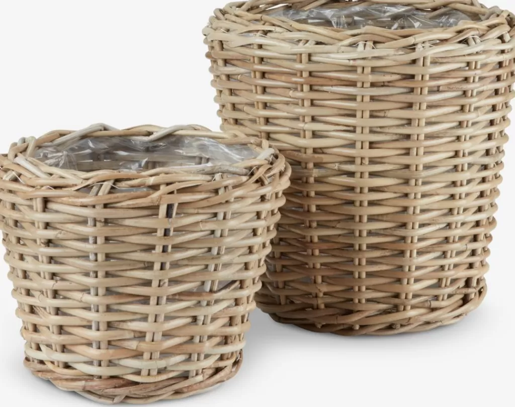 Discount RINGTROST Kosz Ś32/37 kubu naturalny 2szt/op