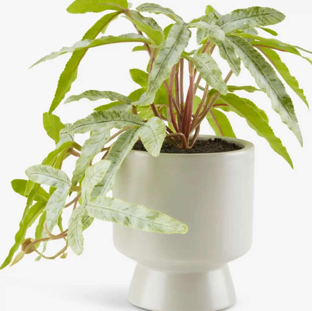 Store OLSEN Roślina sztuczna Ś9xW20cm z doniczką